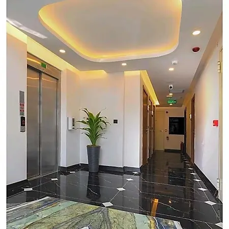 Shelton Airport Hotell 3*